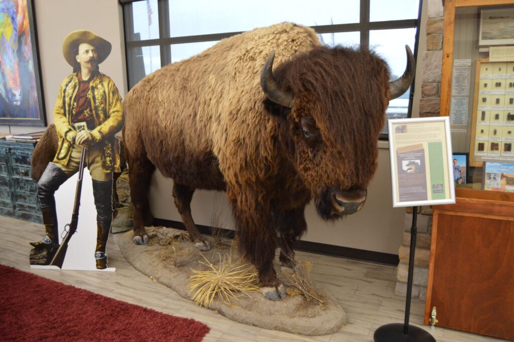 Buffalo Bill Cultural Art Center